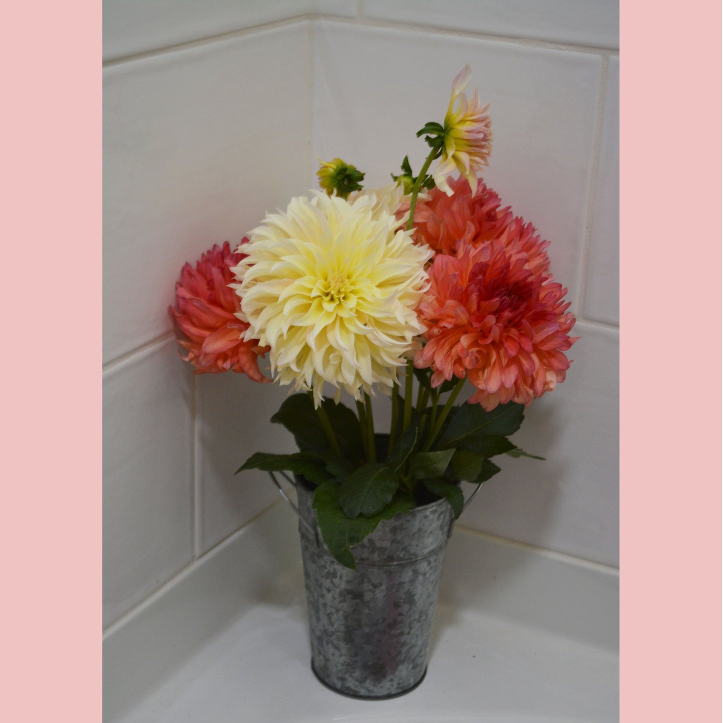 Hoodoo Flower Farm Gift Card