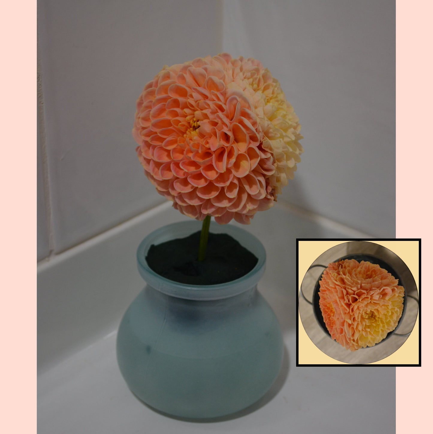 Hoodoo Flower Farm Gift Card