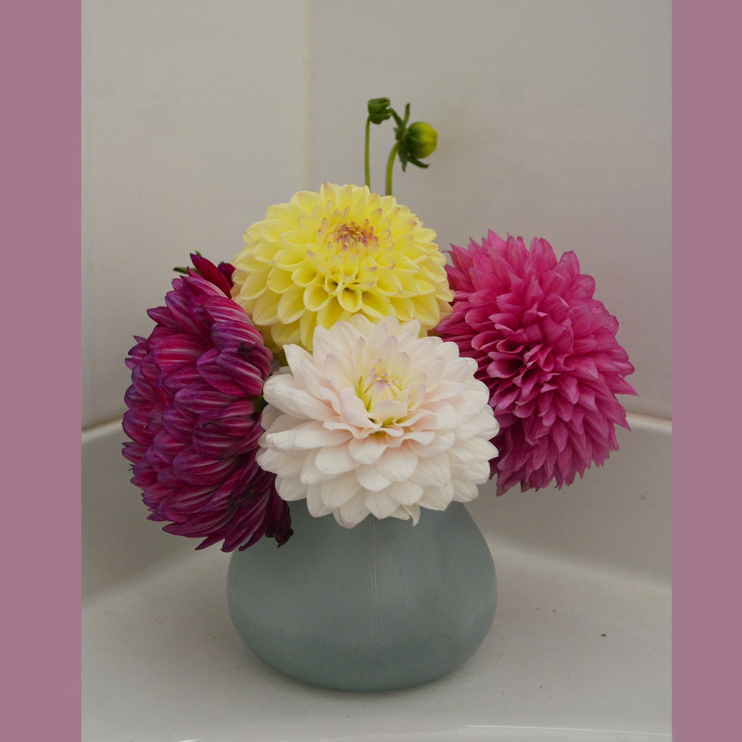 Hoodoo Flower Farm Gift Card