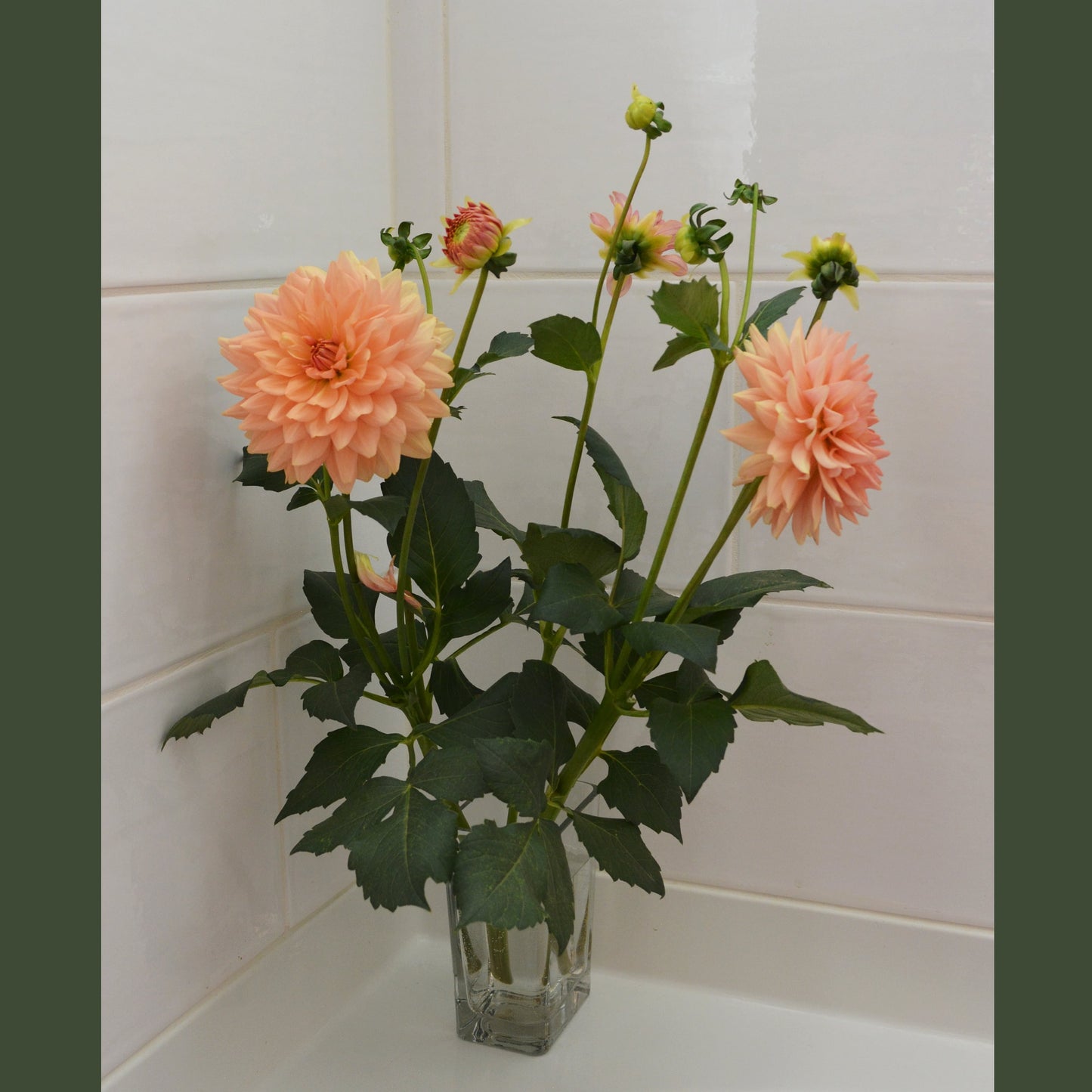 Hoodoo Flower Farm Gift Card