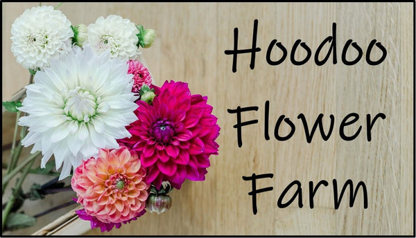 Hoodoo Flower Farm