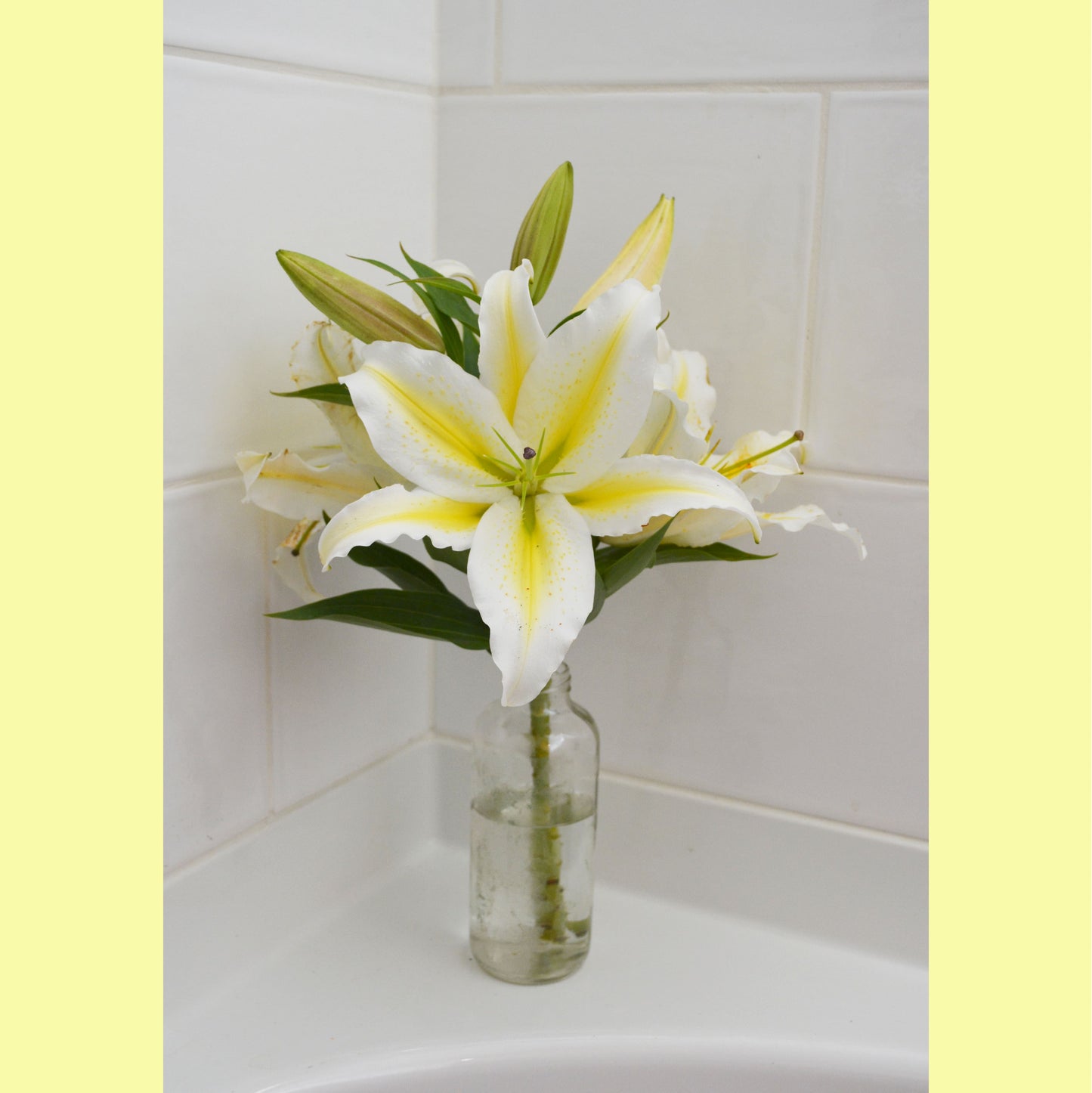 Hoodoo Flower Farm Gift Card