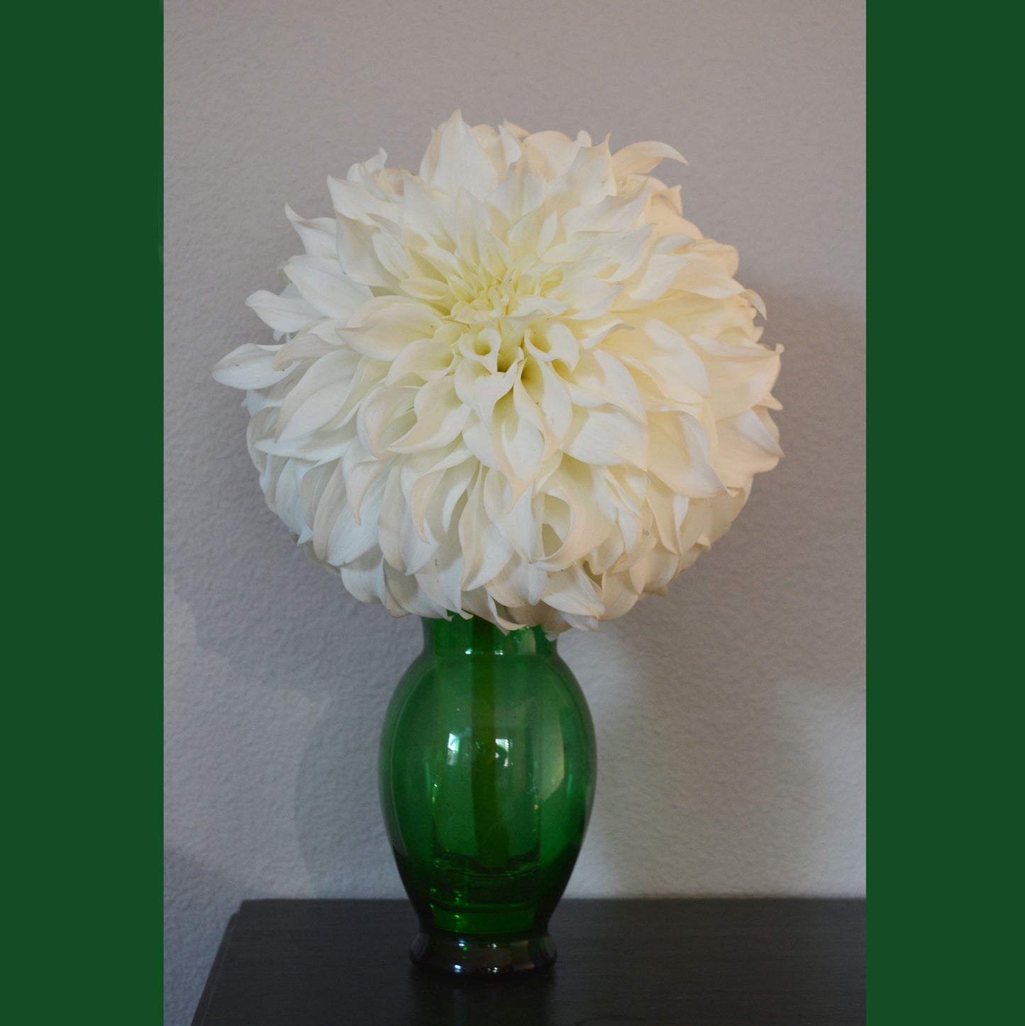 Hoodoo Flower Farm Gift Card